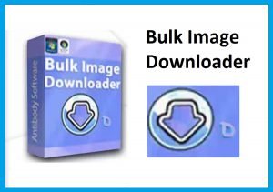 Bulk Image Downloader 6.35 Crack 