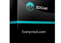 3D Coat 2023.10 Crack + License Key Free Download